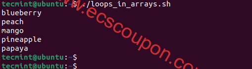 Bash For循环数组示例