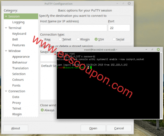 linux系统启动PuTTY