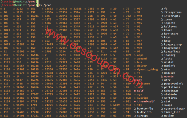 查看Linux /proc文件系统