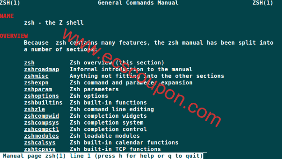 Zsh Shell