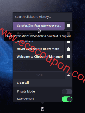 Budgie Clipboard Manager