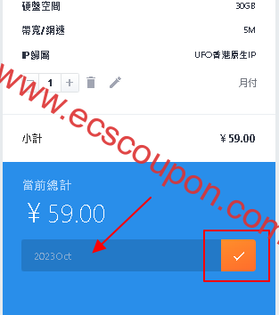 UFOVPS优惠码输入