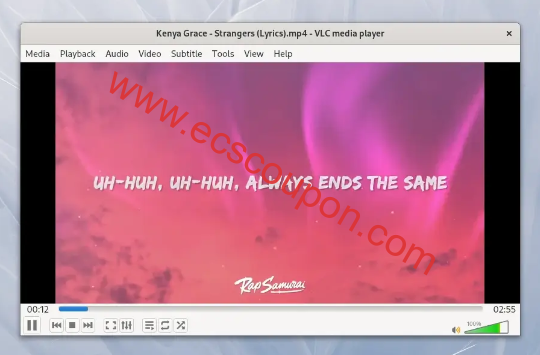 在RHEL中运行VLC