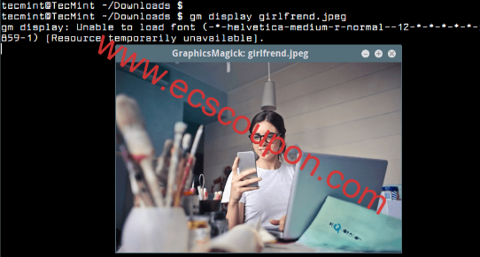 在Linux终端中查看图像