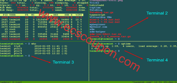 Tmux在单个控制台内管理多个Linux终端