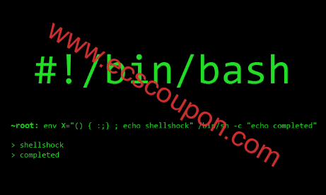 Linux默认Shell是什么,如何更改用户默认Shell?-趣云笔记