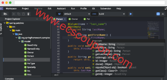 Codenvy IDE