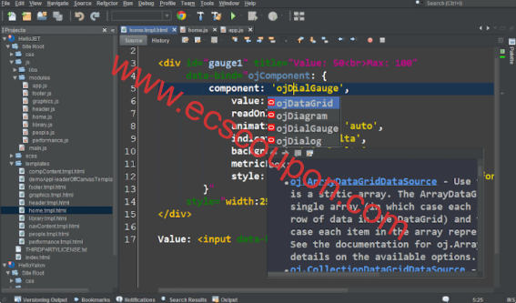 适合Linux开发人员的12个最佳Java IDE整理-趣云笔记