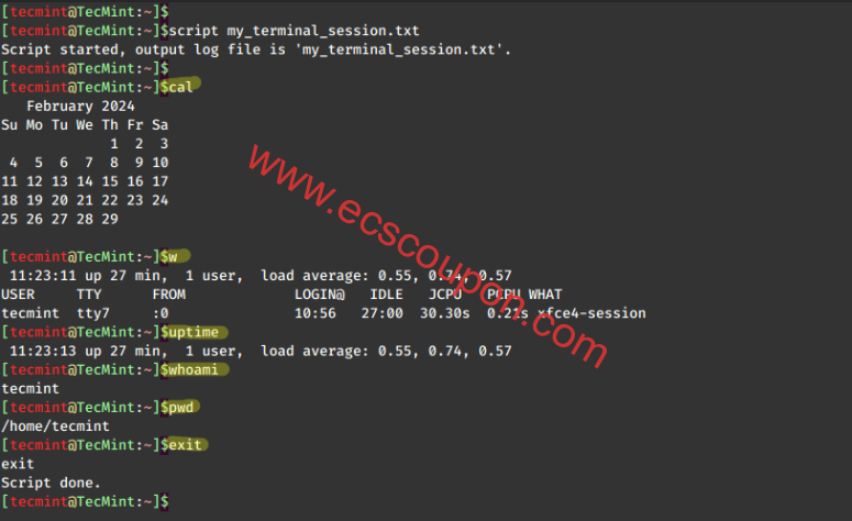 Linux新手教程:如何记录和重播Linux终端会话-趣云笔记