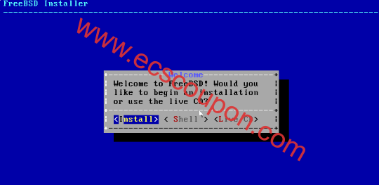 选择安装FreeBSD