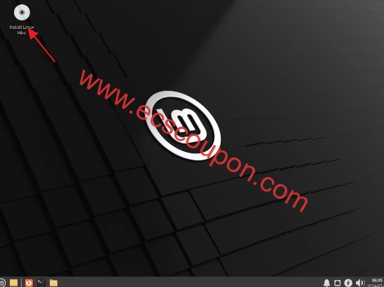 Linux Mint实时桌面
