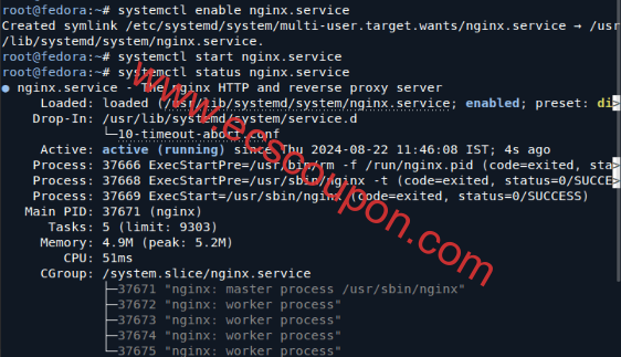 Fedora 40系统安装Nginx、MariaDB和PHP/FPM详细步骤-趣云笔记