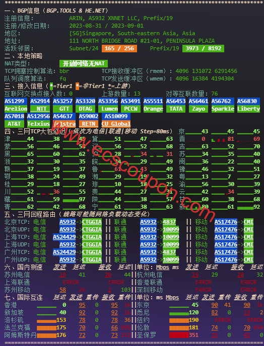 IPv4网络质量检测报告