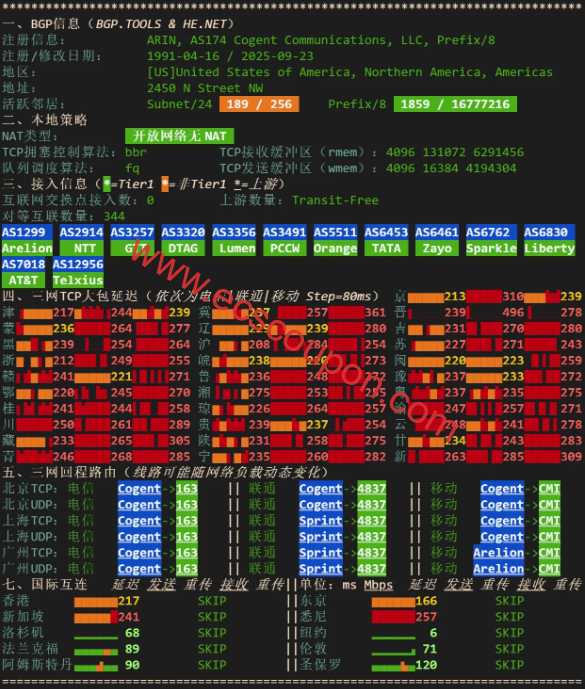 网络质量体检报告