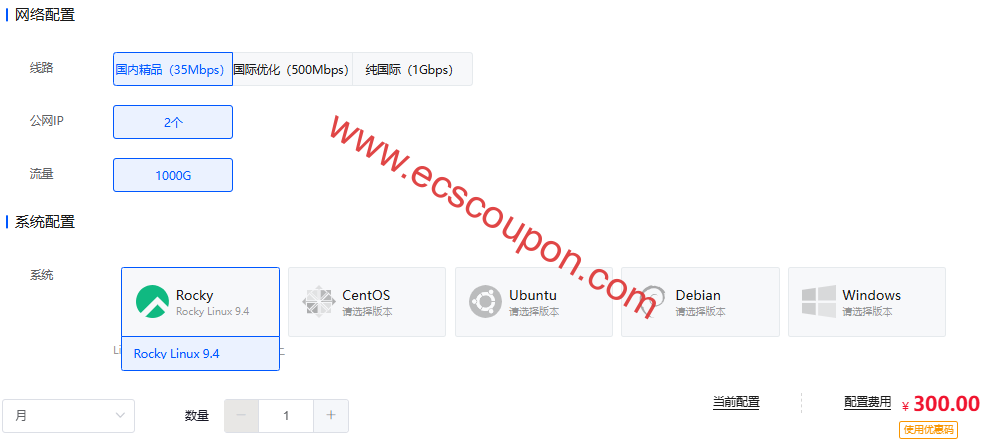 V5Net香港荃湾物理服务器促销