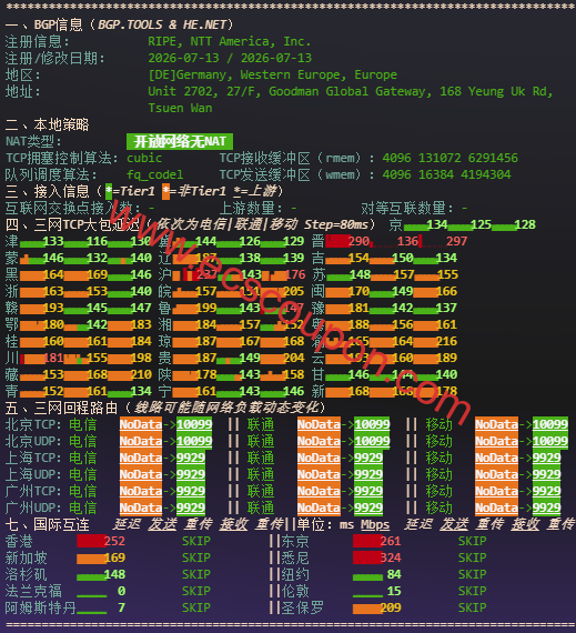网络质量体检报告
